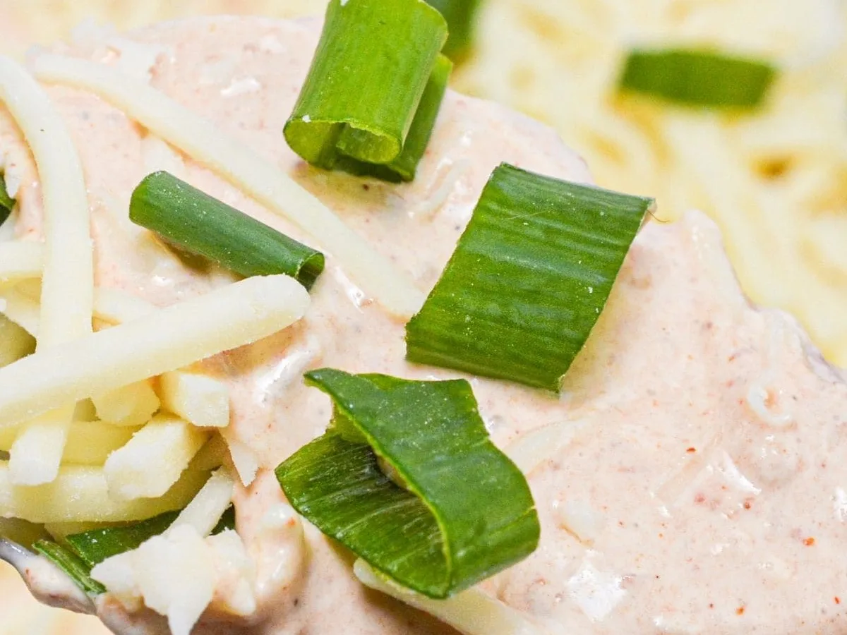 Creamy Salsa Dip