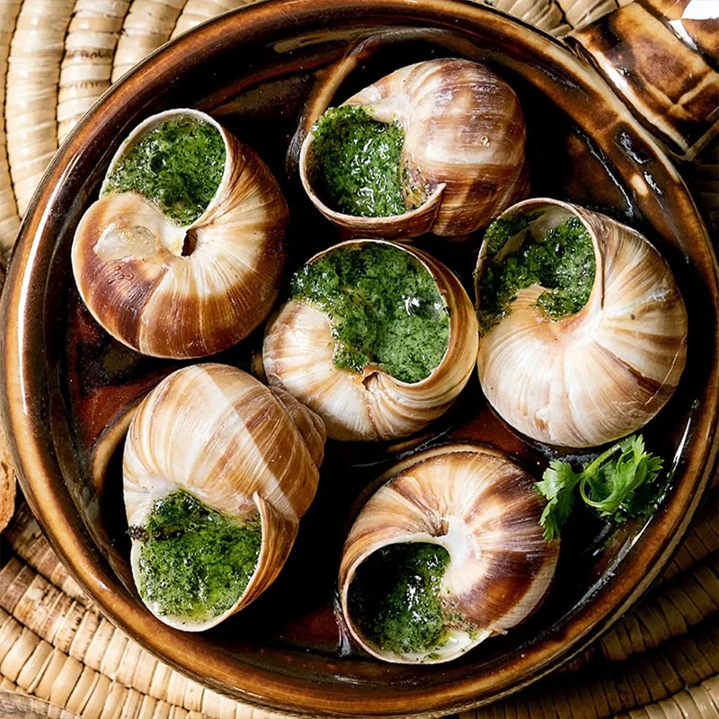 Gros Escargots De Bourgogne