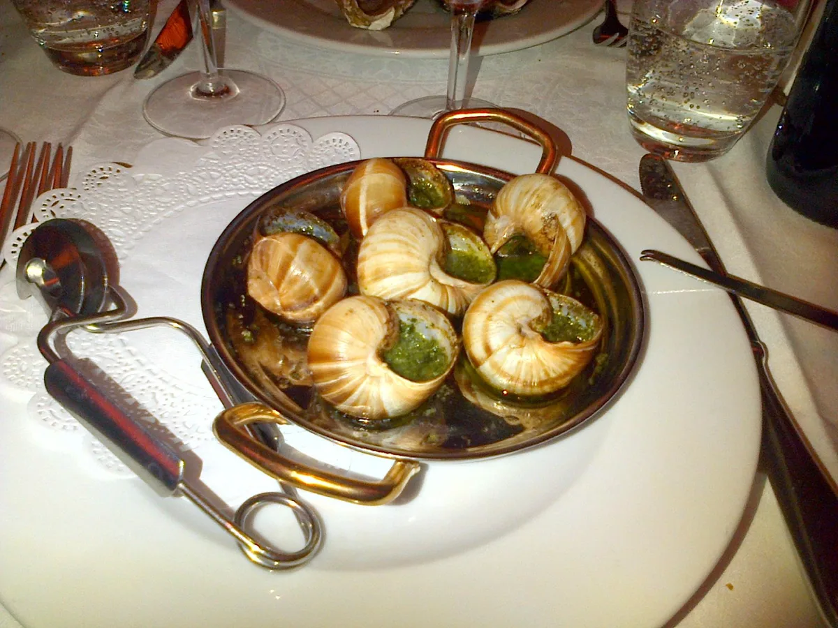 Gros Escargots De Bourgongne