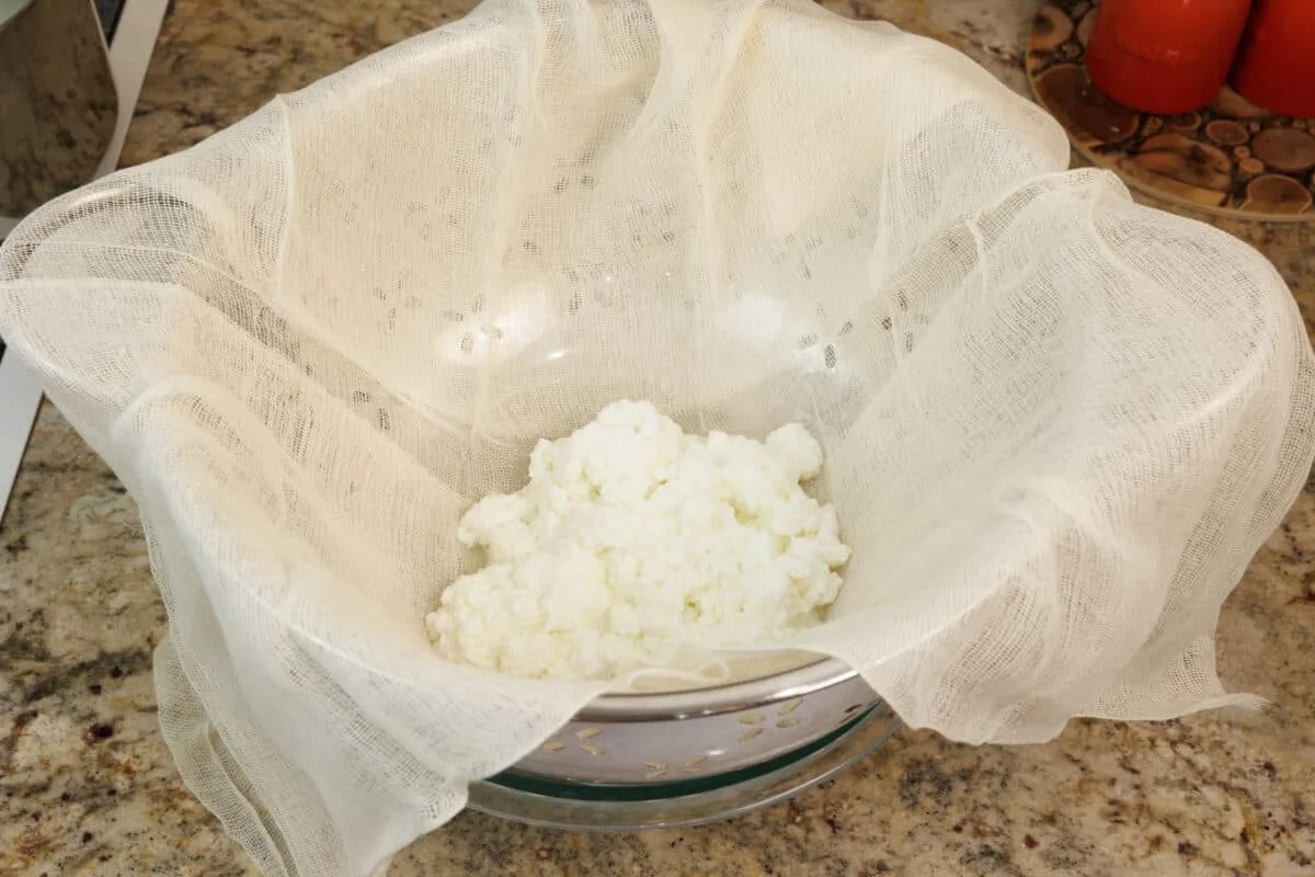 PANEER (CHEESE)