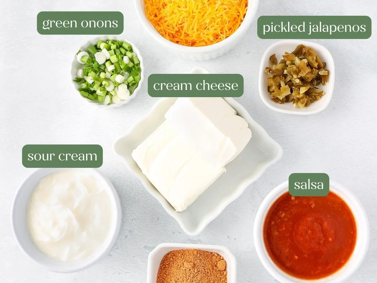 Salsa and Cheese