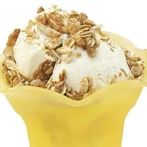 Vanilla Ice Cream