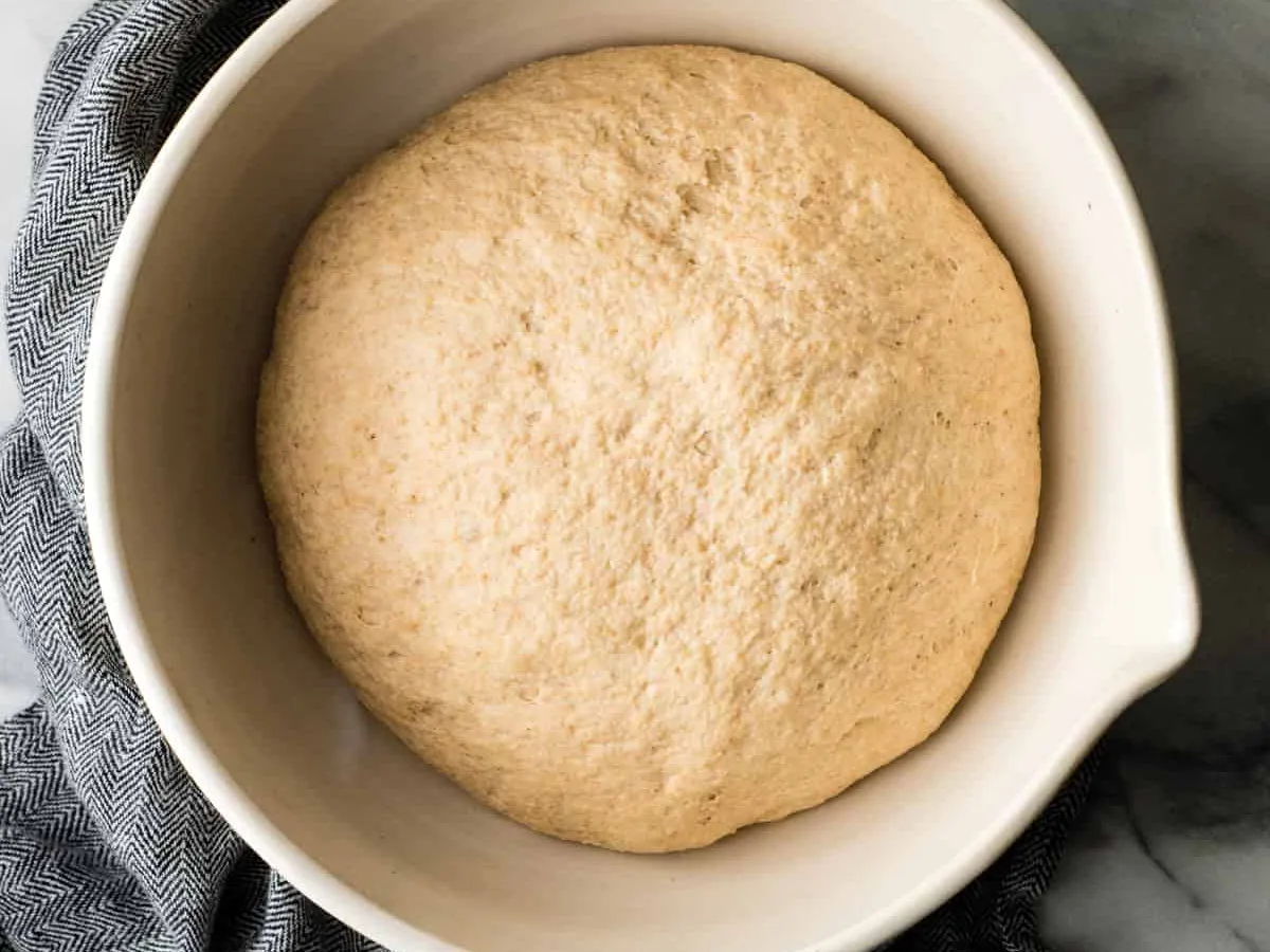 Whole Wheat Dough